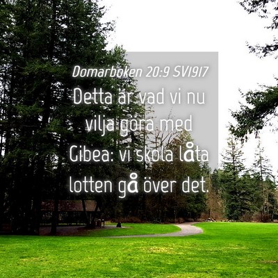 Picture 04 - Domarboken 20:9 SV1917 - Detta är vad vi nu vilja göra med Gibea: vi - Bible Verse Picture