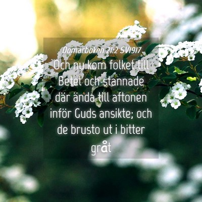 Picture 04 - Domarboken 21:2 SV1917 - Och nu kom folket till Betel och stannade där - Bible Verse Picture