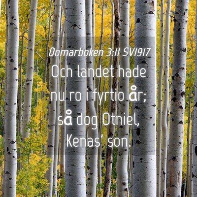 Picture 04 - Domarboken 3:11 SV1917 - Och landet hade nu ro i fyrtio år; så dog - Bible Verse Picture