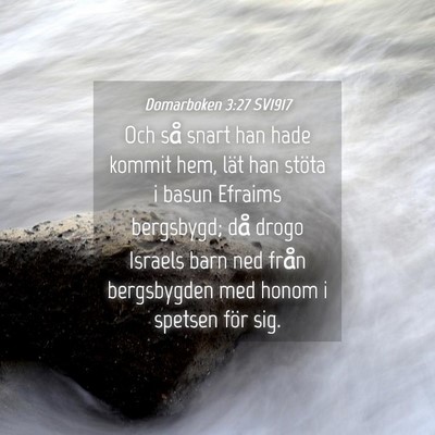 Picture 04 - Domarboken 3:27 SV1917 - Och så snart han hade kommit hem, lät han - Bible Verse Picture