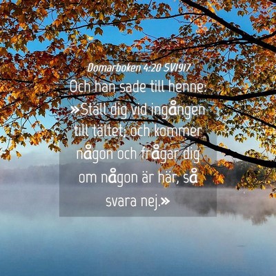 Picture 04 - Domarboken 4:20 SV1917 - Och han sade till henne: »Ställ dig vid - Bible Verse Picture
