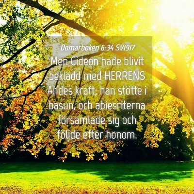 Picture 04 - Domarboken 6:34 SV1917 - Men Gideon hade blivit beklädd med HERRENS Andes - Bible Verse Picture