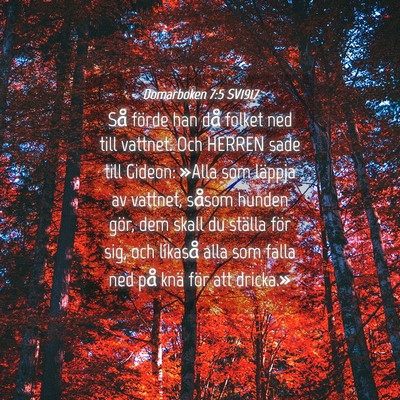 Picture 04 - Domarboken 7:5 SV1917 - Så förde han då folket ned till vattnet. Och - Bible Verse Picture