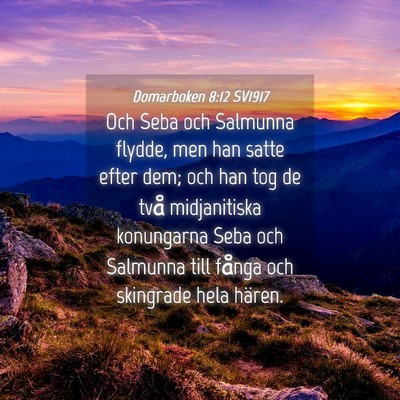 Picture 04 - Domarboken 8:12 SV1917 - Och Seba och Salmunna flydde, men han satte efter - Bible Verse Picture
