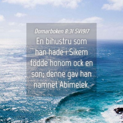 Picture 04 - Domarboken 8:31 SV1917 - En bihustru som han hade i Sikem födde honom ock - Bible Verse Picture