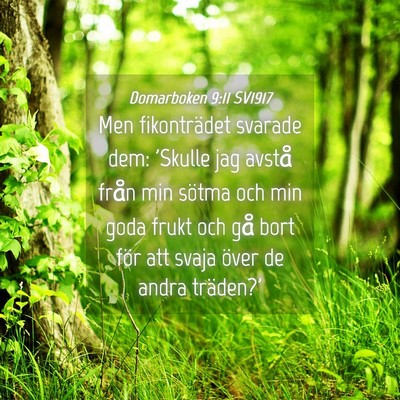 Picture 04 - Domarboken 9:11 SV1917 - Men fikonträdet svarade dem: 'Skulle jag avstå - Bible Verse Picture