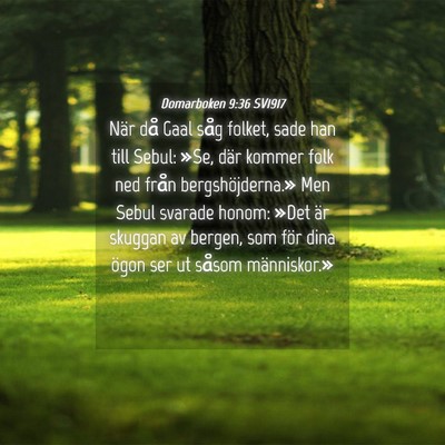 Picture 04 - Domarboken 9:36 SV1917 - När då Gaal såg folket, sade han till Sebul: - Bible Verse Picture