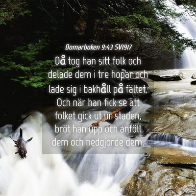 Picture 04 - Domarboken 9:43 SV1917 - Då tog han sitt folk och delade dem i tre hopar - Bible Verse Picture