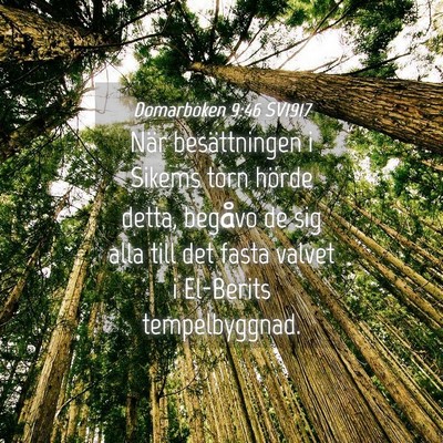 Picture 04 - Domarboken 9:46 SV1917 - När besättningen i Sikems torn hörde detta, - Bible Verse Picture