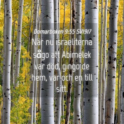 Picture 04 - Domarboken 9:55 SV1917 - När nu israeliterna sågo att Abimelek var död, - Bible Verse Picture