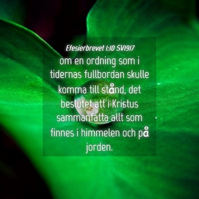 Picture 04 - Efesierbrevet 1:10 SV1917 - om en ordning som i tidernas fullbordan skulle - Bible Verse Picture
