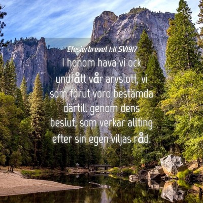 Picture 04 - Efesierbrevet 1:11 SV1917 - I honom hava vi ock undfått vår arvslott, vi - Bible Verse Picture
