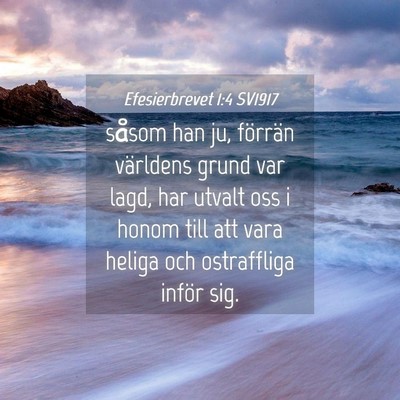Picture 04 - Efesierbrevet 1:4 SV1917 - såsom han ju, förrän världens grund var lagd, - Bible Verse Picture