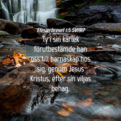 Picture 04 - Efesierbrevet 1:5 SV1917 - Ty i sin kärlek förutbestämde han oss till - Bible Verse Picture