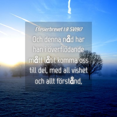 Picture 04 - Efesierbrevet 1:8 SV1917 - Och denna nåd har han i överflödande mått - Bible Verse Picture