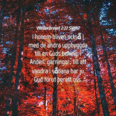 Picture 04 - Efesierbrevet 2:22 SV1917 - I honom bliven också I med de andra uppbyggda - Bible Verse Picture