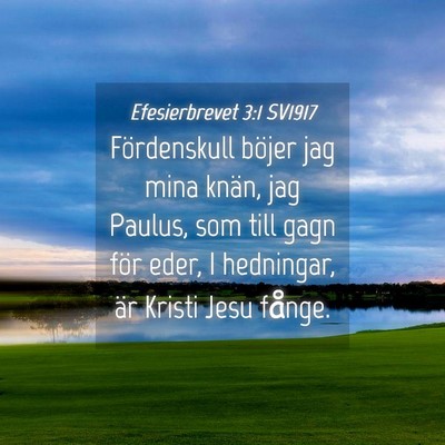 Picture 04 - Efesierbrevet 3:1 SV1917 - Fördenskull böjer jag mina knän, jag Paulus, - Bible Verse Picture