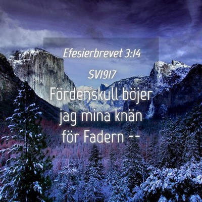 Picture 04 - Efesierbrevet 3:14 SV1917 - Fördenskull böjer jag mina knän för Fadern - Bible Verse Picture