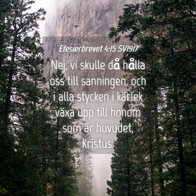 Picture 04 - Efesierbrevet 4:15 SV1917 - Nej, vi skulle då hålla oss till sanningen, och - Bible Verse Picture