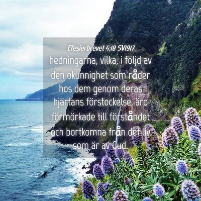 Picture 04 - Efesierbrevet 4:18 SV1917 - hedningarna, vilka, i följd av den okunnighet - Bible Verse Picture