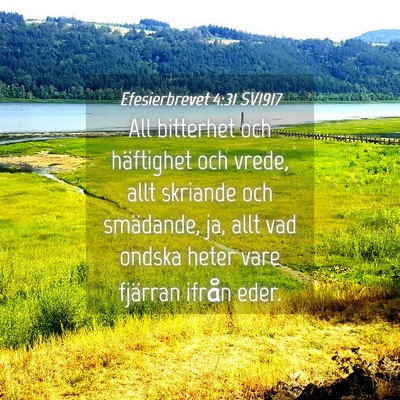 Picture 04 - Efesierbrevet 4:31 SV1917 - All bitterhet och häftighet och vrede, allt - Bible Verse Picture