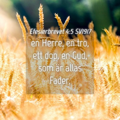 Picture 04 - Efesierbrevet 4:5 SV1917 - en Herre, en tro, ett dop, en Gud, som är allas - Bible Verse Picture
