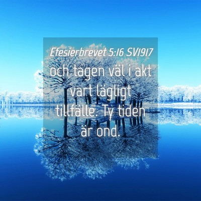 Picture 04 - Efesierbrevet 5:16 SV1917 - och tagen väl i akt vart lägligt tillfälle. Ty - Bible Verse Picture