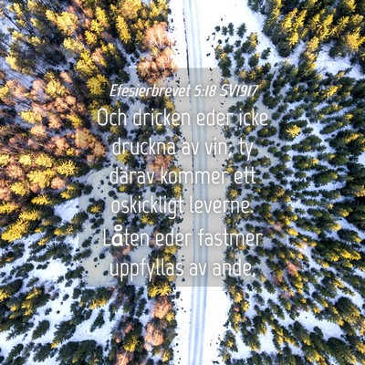 Picture 04 - Efesierbrevet 5:18 SV1917 - Och dricken eder icke druckna av vin; ty därav - Bible Verse Picture