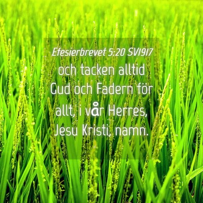 Picture 04 - Efesierbrevet 5:20 SV1917 - och tacken alltid Gud och Fadern för allt, i - Bible Verse Picture