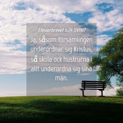 Picture 04 - Efesierbrevet 5:24 SV1917 - Ja, såsom församlingen underordnar sig Kristus, - Bible Verse Picture