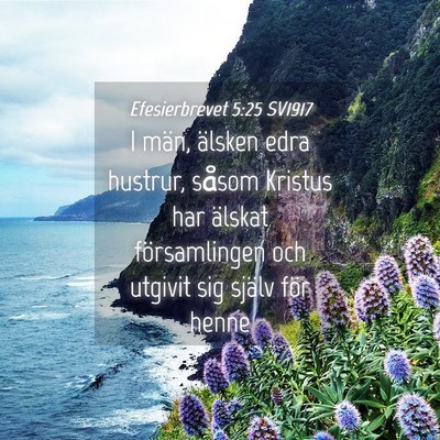 Picture 04 - Efesierbrevet 5:25 SV1917 - I män, älsken edra hustrur, såsom Kristus har - Bible Verse Picture
