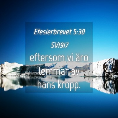 Picture 04 - Efesierbrevet 5:30 SV1917 - eftersom vi äro lemmar av hans - Bible Verse Picture