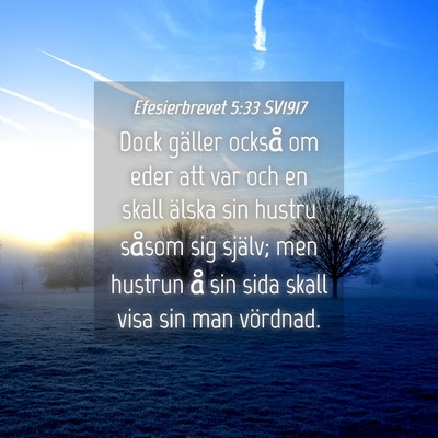 Picture 04 - Efesierbrevet 5:33 SV1917 - Dock gäller också om eder att var och en skall - Bible Verse Picture