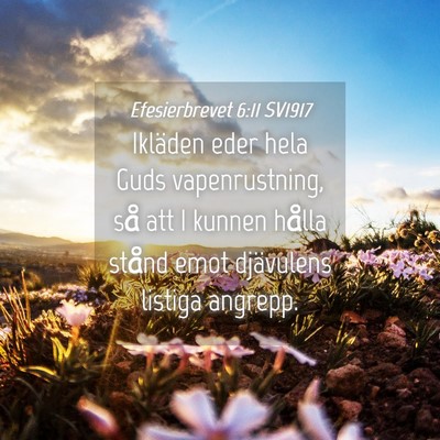 Picture 04 - Efesierbrevet 6:11 SV1917 - Ikläden eder hela Guds vapenrustning, så att I - Bible Verse Picture