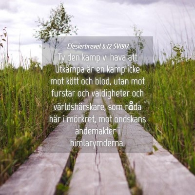 Picture 04 - Efesierbrevet 6:12 SV1917 - Ty den kamp vi hava att utkämpa är en kamp icke - Bible Verse Picture