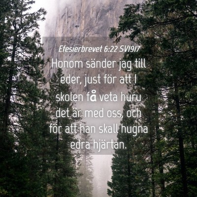 Picture 04 - Efesierbrevet 6:22 SV1917 - Honom sänder jag till eder, just för att I - Bible Verse Picture