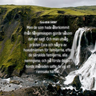 Picture 04 - Esra 10:16 SV1917 - Men de som hade återkommit ifrån fångenskapen - Bible Verse Picture