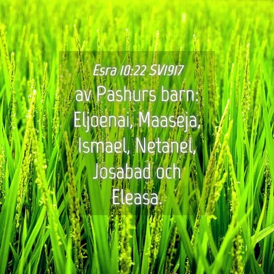 Picture 04 - Esra 10:22 SV1917 - av Pashurs barn: Eljoenai, Maaseja, Ismael, - Bible Verse Picture