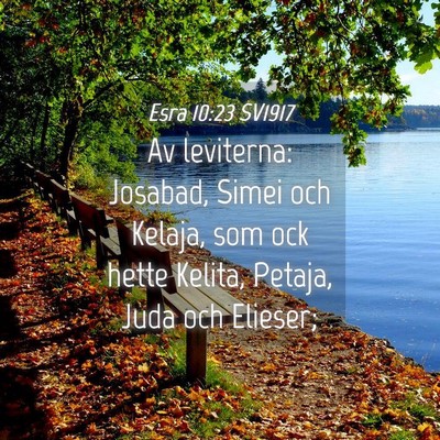 Picture 04 - Esra 10:23 SV1917 - Av leviterna: Josabad, Simei och Kelaja, som ock - Bible Verse Picture