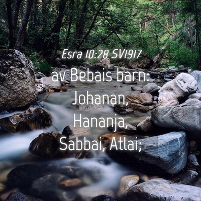 Picture 04 - Esra 10:28 SV1917 - av Bebais barn: Johanan, Hananja, Sabbai, - Bible Verse Picture