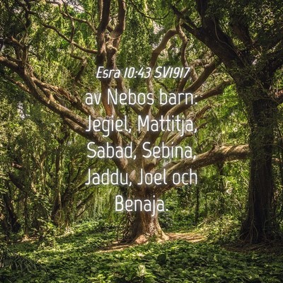 Picture 04 - Esra 10:43 SV1917 - av Nebos barn: Jegiel, Mattitja, Sabad, Sebina, - Bible Verse Picture