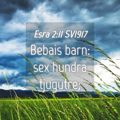 Picture 04 - Esra 2:11 SV1917 - Bebais barn: sex hundra - Bible Verse Picture