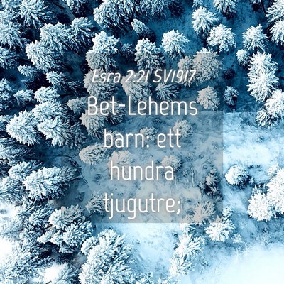 Picture 04 - Esra 2:21 SV1917 - Bet-Lehems barn: ett hundra - Bible Verse Picture