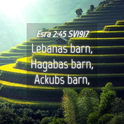 Picture 04 - Esra 2:45 SV1917 - Lebanas barn, Hagabas barn, Ackubs - Bible Verse Picture