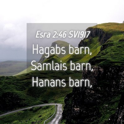 Picture 04 - Esra 2:46 SV1917 - Hagabs barn, Samlais barn, Hanans - Bible Verse Picture