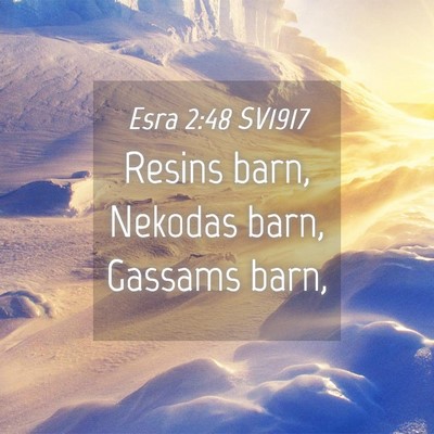 Picture 04 - Esra 2:48 SV1917 - Resins barn, Nekodas barn, Gassams - Bible Verse Picture