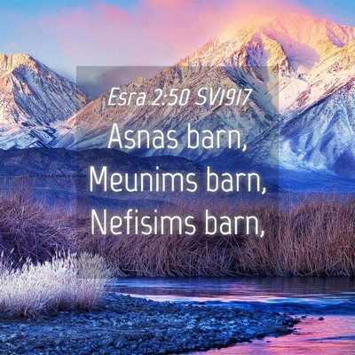 Picture 04 - Esra 2:50 SV1917 - Asnas barn, Meunims barn, Nefisims - Bible Verse Picture