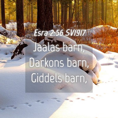 Picture 04 - Esra 2:56 SV1917 - Jaalas barn, Darkons barn, Giddels - Bible Verse Picture