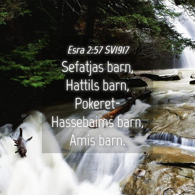 Picture 04 - Esra 2:57 SV1917 - Sefatjas barn, Hattils barn, Pokeret-Hassebaims - Bible Verse Picture
