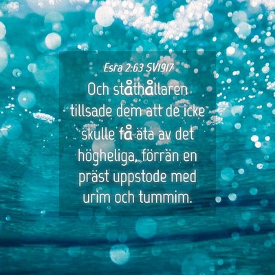 Picture 04 - Esra 2:63 SV1917 - Och ståthållaren tillsade dem att de icke - Bible Verse Picture